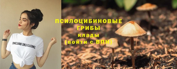 2c-b Абдулино
