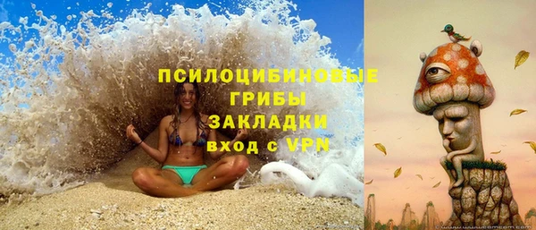 2c-b Абдулино
